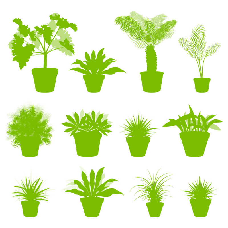 可爱室内植物的绿色剪影的矢量装饰元素