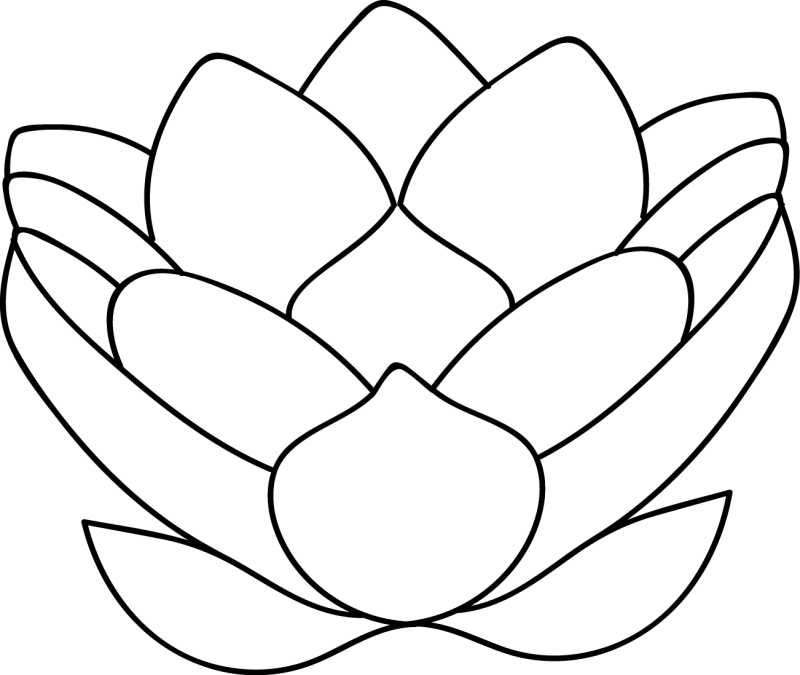 白色背景上的矢量莲花插图