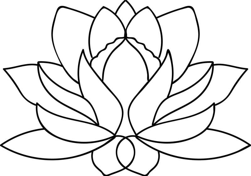 左右对称的矢量莲花标志
