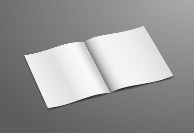 空白的白色小册子矢量图