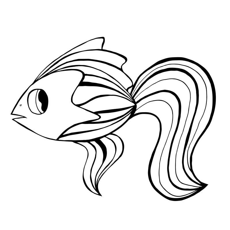 白色背景上的矢量手绘鱼