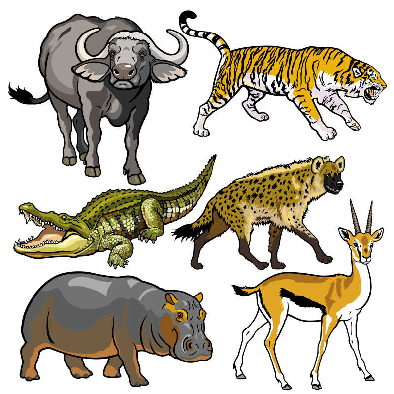矢量卡通非洲动物
