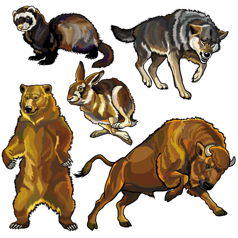 五种动物的卡通矢量插图