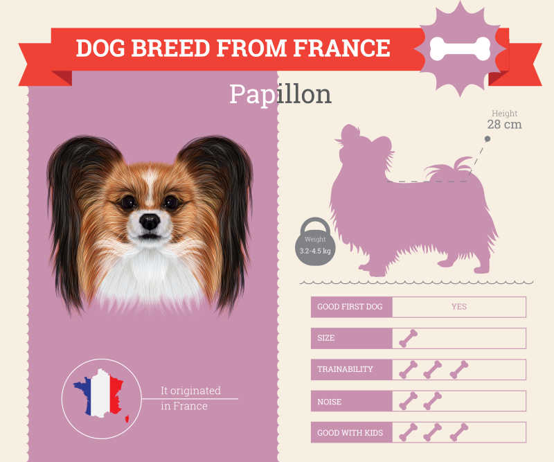 法国宠物狗矢量信息表