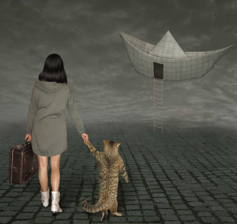 一个带着猫的女人正走向一艘飞艇