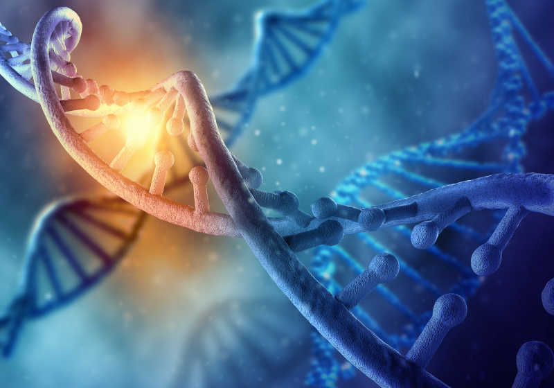 DNA概念图