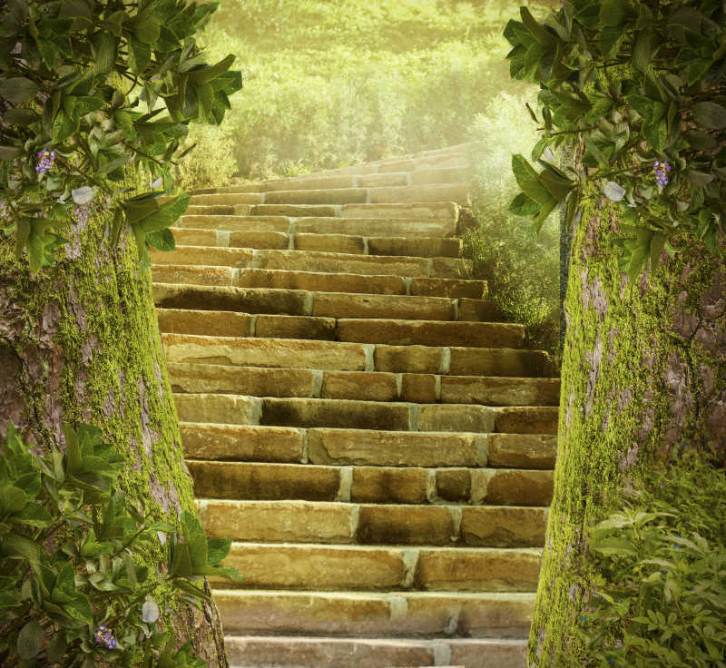 绿色森林公园中的台阶