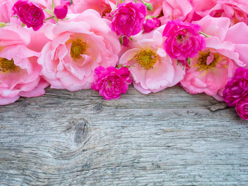 旧风化木板上的粉红玫瑰花束