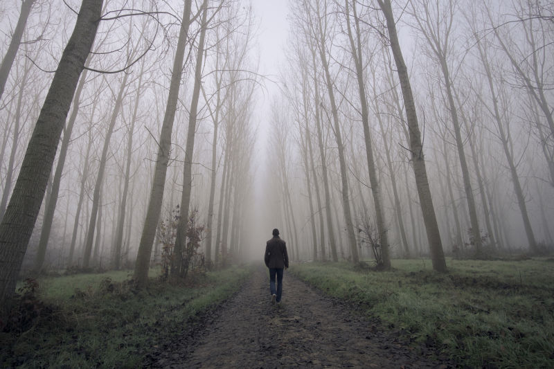 男人行走在充满雾气的树林中