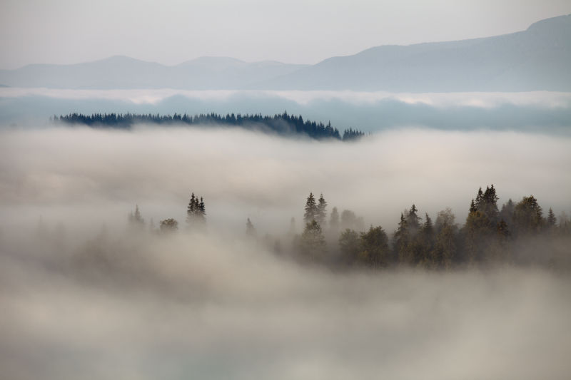 山中浓雾的景色