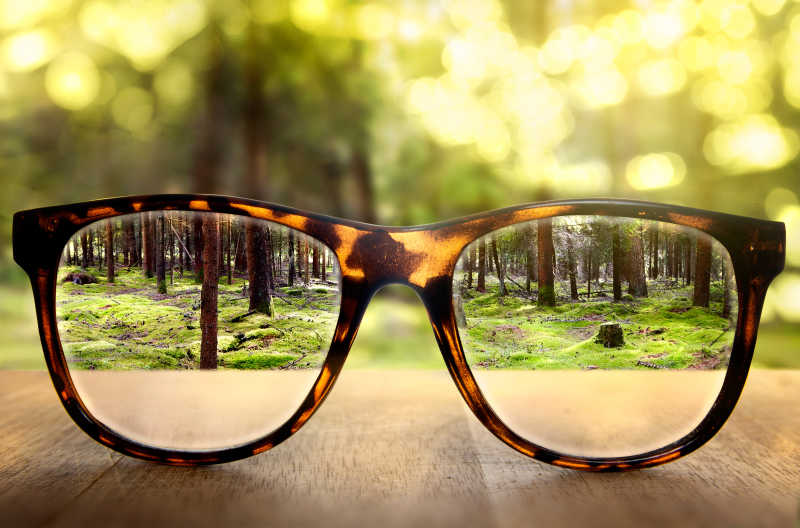 从眼镜里看树林