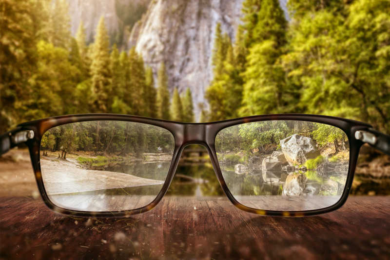 从眼镜里看原始森林