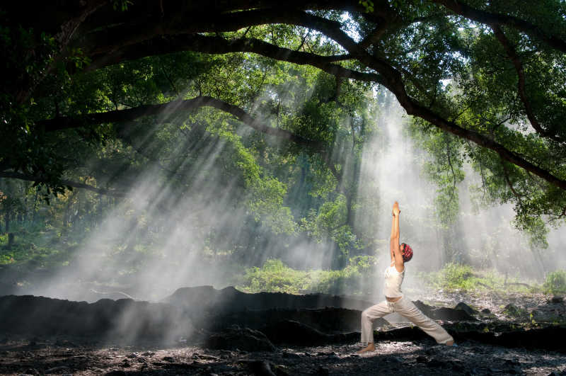 森林阳光下练习瑜伽