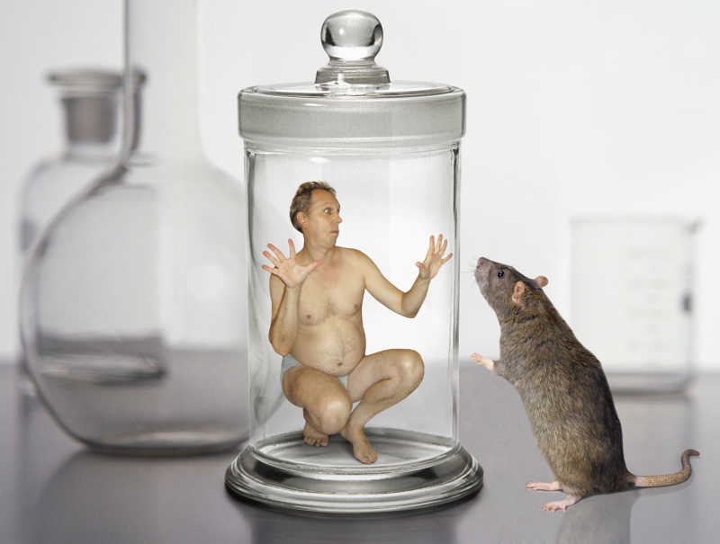 一个男人在一个玻璃缸里面一只老鼠正在看他的外貌