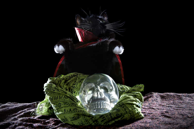 黑暗背景上的穿着披风的黑猫和绿布上的水晶头骨