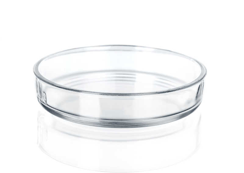 玻璃器皿培养皿