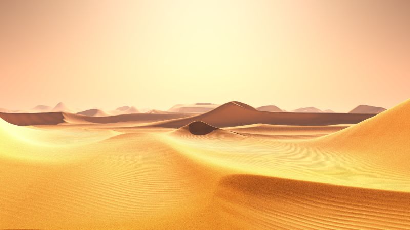金黄的沙漠插画