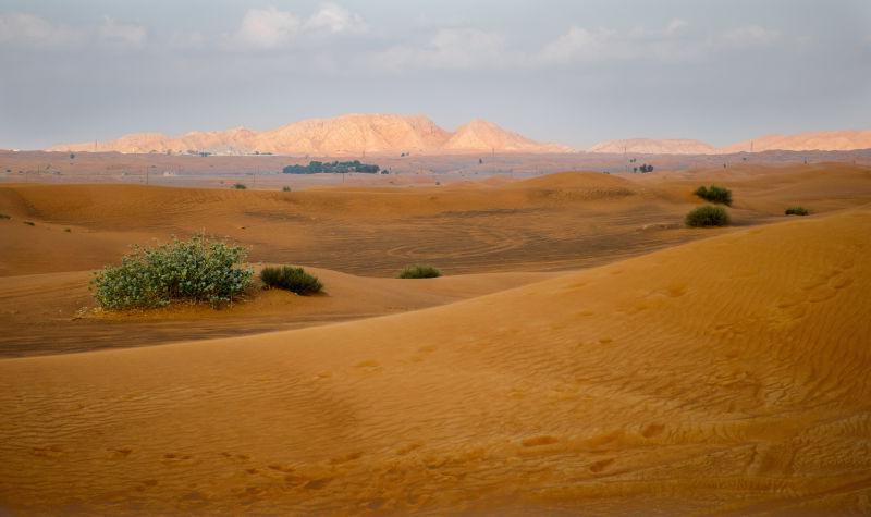美丽的沙漠沙丘