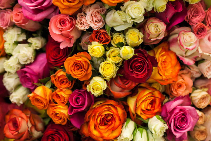 各种彩色的玫瑰花束