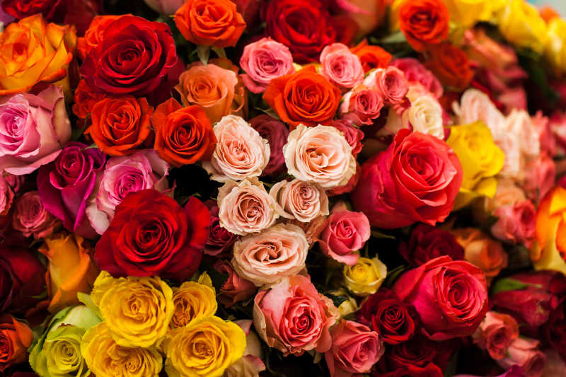 五彩缤纷的玫瑰花束