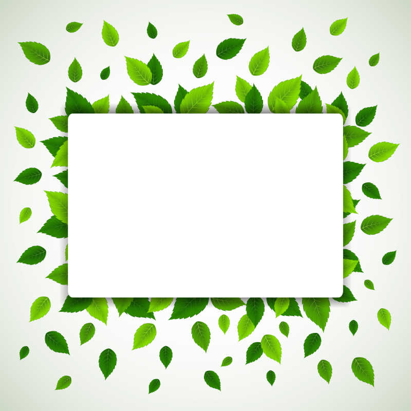 绿色嫩叶背景有白框的矢量自然背景