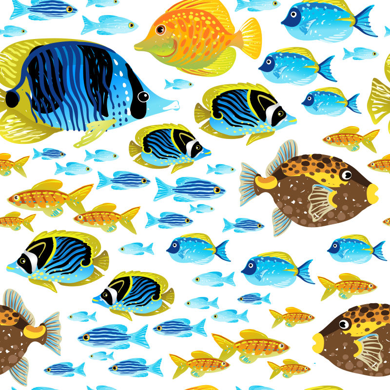 色彩鲜艳的热带鱼矢量插画